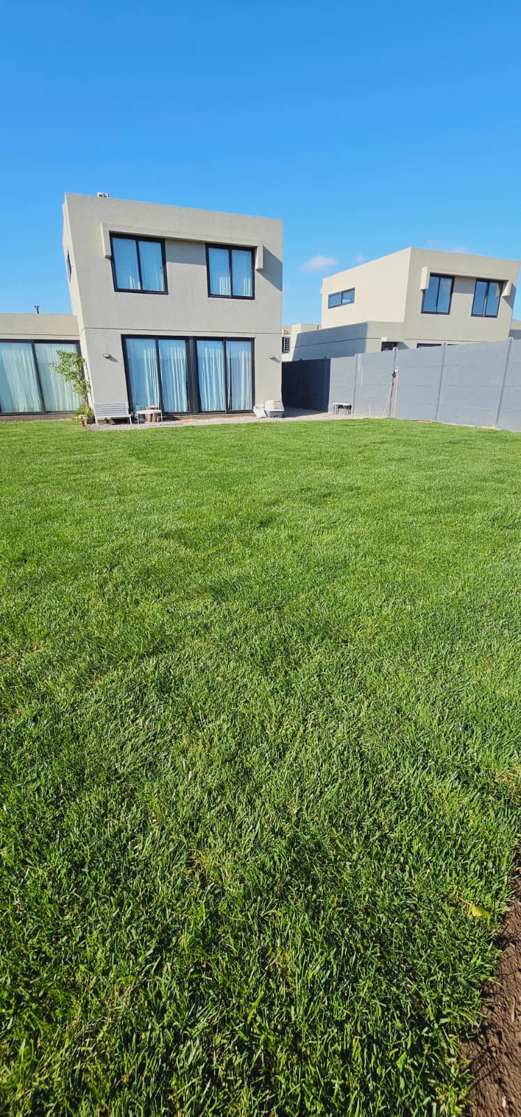 Instalación de pasto